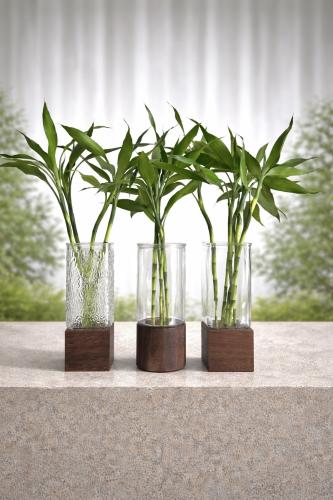 فازة بامبو - طباعة على الفازة