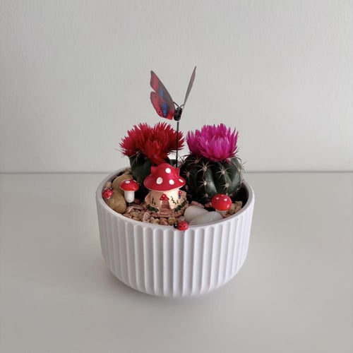 حديقة الصبار