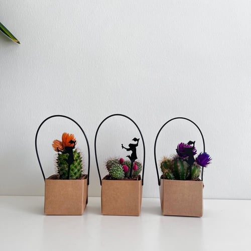 صبار - التخرج