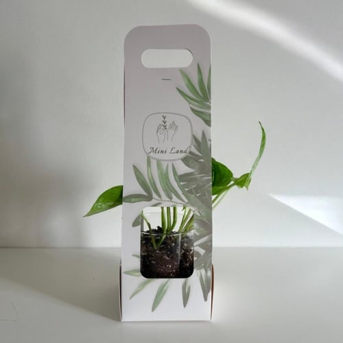 حامل ورقي B - فارغ