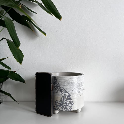 بوتس - الطاؤوس - كونكريت