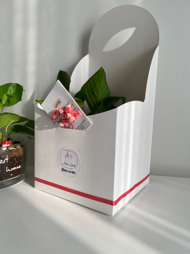 تغليف ورقي فارغ وردي A