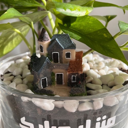 هدية البيت الجديد