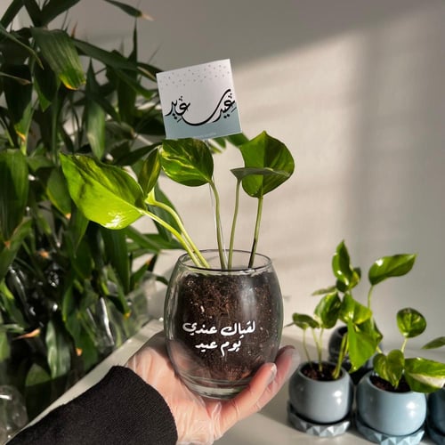 بوتس العيد - فازة (يوم عيد)