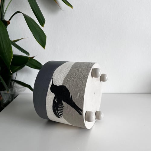 بوتس - حوض رفرفة - كونكريت