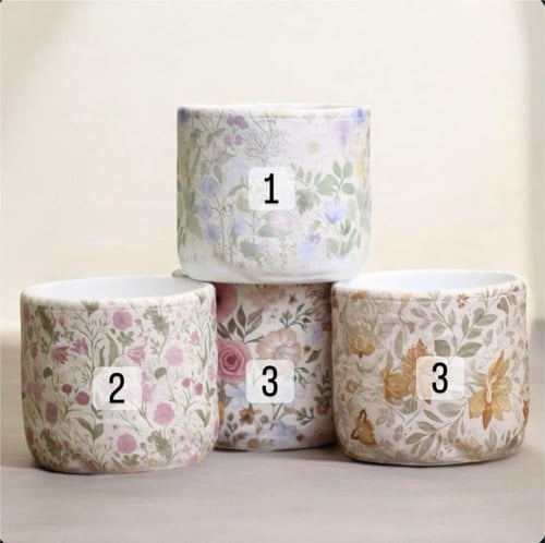 زاميا - حوض اسمنتي