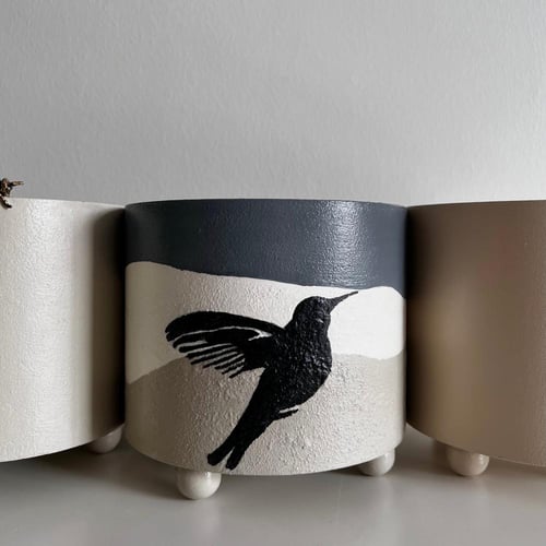 بوتس - حوض رفرفة - كونكريت