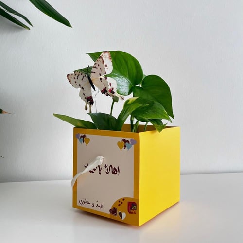 بوتس اهلا بالعيد - علبة ورقية