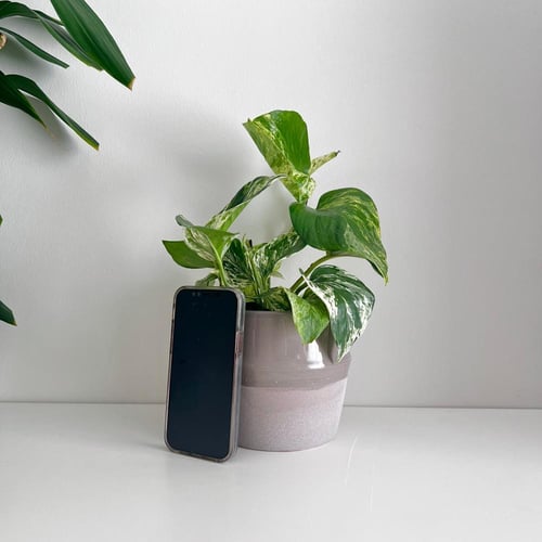 بوتس جولدن - سيراميك