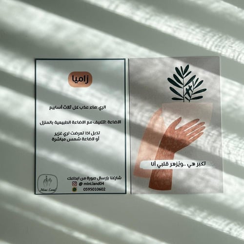 زاميا - مركن 17 سم