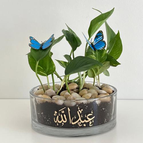 هدية مولود - فازة مطبوعة