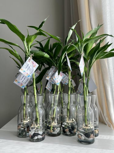 فازة بامبو مع طباعة اسم