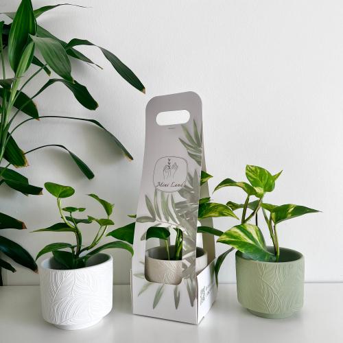 هدية البوتس - مركن سيراميك