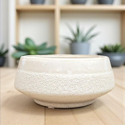 اجلونيما - حوض سيراميك