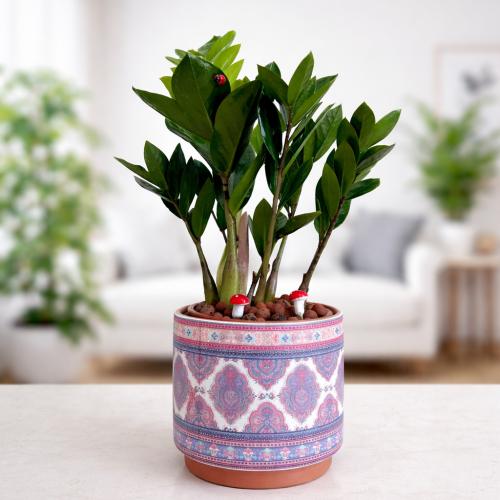 زاميا - فازة سيراميك - بوهيمي