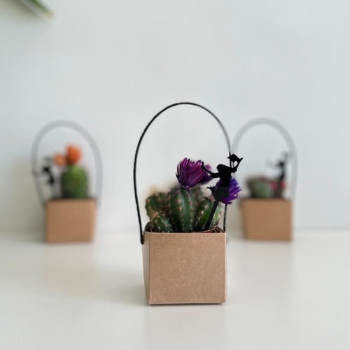 صبار - التخرج