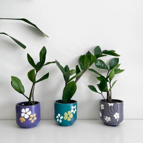 1 زاميا - كونكريت يدوي