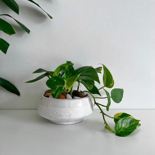 بوتس سيراميك فاخر