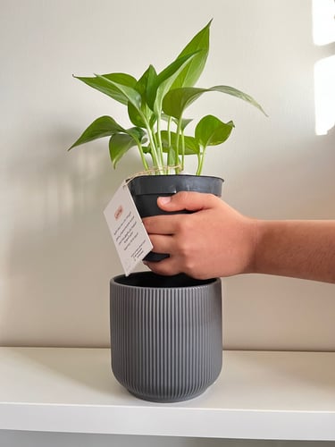 بوتس - حوض سيراميك