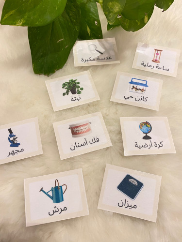 اشارات ناطقة منطقة الطبيعة والعلوم ( 24 بطاقة) طبا...