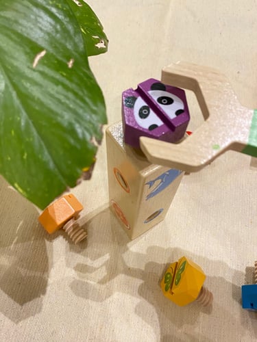 لعبة البرم والتدوير الخشبية باستخدام السكاريب الخش...