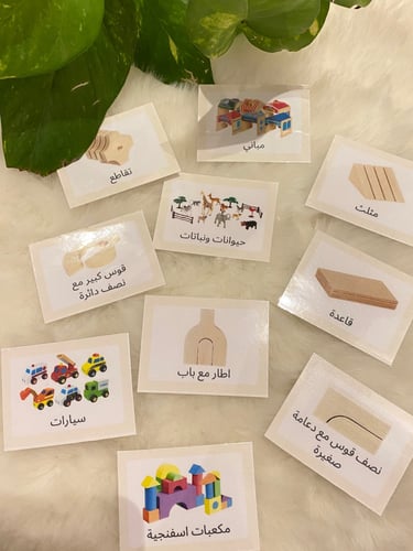 اشارات ناطقة منطقة المكعبات ( 24 بطاقة) طباعة ليزر...