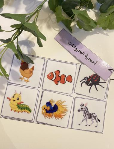 احجية الحيوان مناسبة لوحدة الحيوان ( تحوي على قاعد...