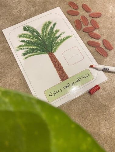 استراتيجية نخلة القصيم للعدد ومدلوله مناسبة لتفعيل...