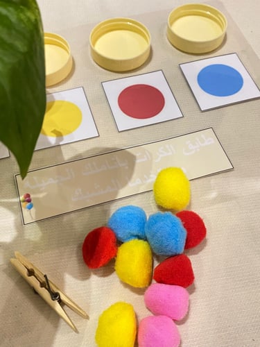 تصنيف الألوان ( قاعدة بلاستيكية مقاس a4 مزودة بأرب...