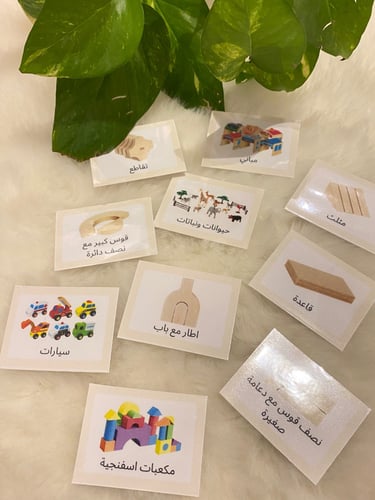 اشارات ناطقة منطقة المكعبات ( 24 بطاقة) طباعة ليزر...