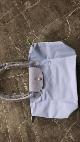 موف فاتح - Longchamp