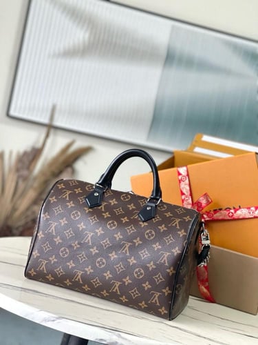 LV bag