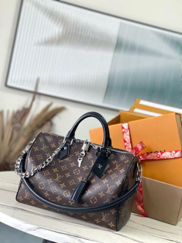 LV bag