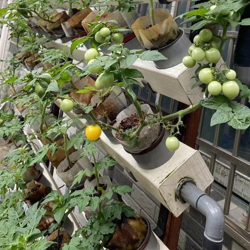 5 أكياس استنبات عضوية مقاس صغير 9*7