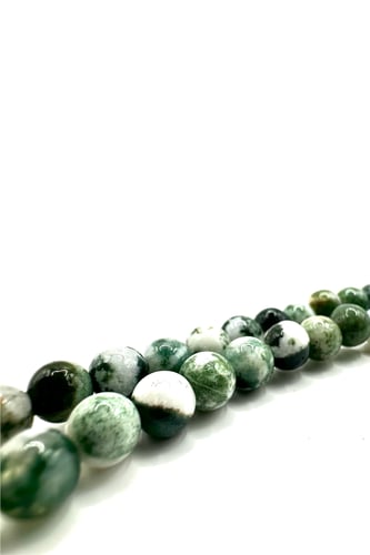 تعليقة حجر الليس تري