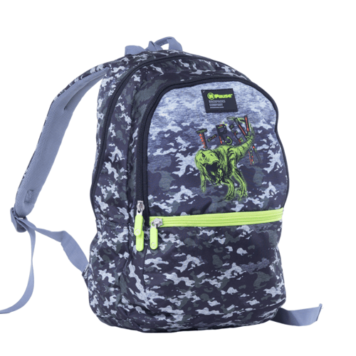 بوز شنطة ظهر مدرسية 16.5 بوصة مع مقلمة بتصميم تي ر...