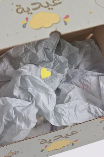 ٥ عيديات طائرة ورقية