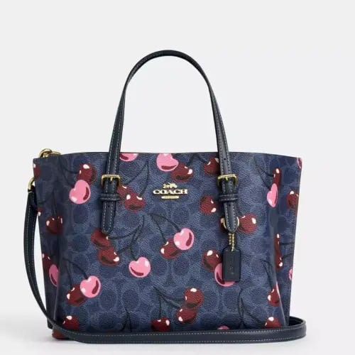 شنطة كوتش مولي تشيري