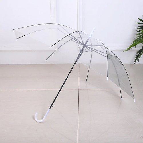 مظلة للمطر شفافة
