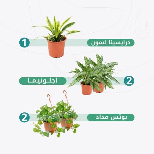 العرض الثلاثي