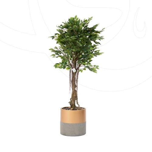 شجرة فايكس صناعي بساق فايبر مثبته بحوض اسمنتي فاخر...