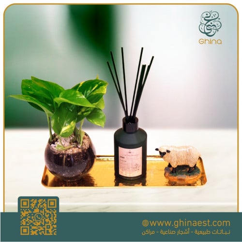 هدايا للعيد ( بوتس - معطر جو ) بصحن ذهبي فاخر