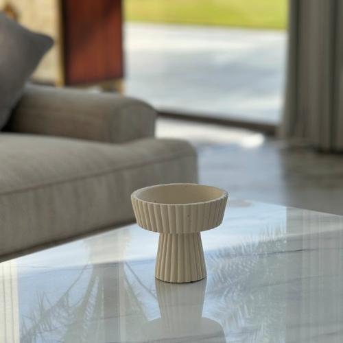 تقديمة بقاعدة مميزة