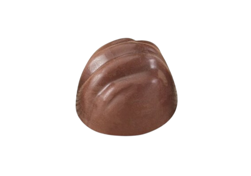 قالب POLYCARB شوكولاته MA1091