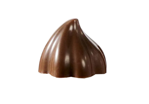 قالب POLYCARB شوكولاته MA1021