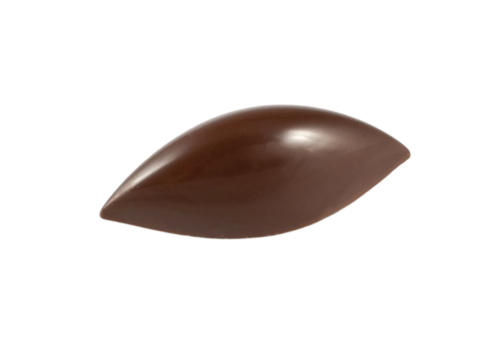 قالب POLYCARB شوكولاته MA1012