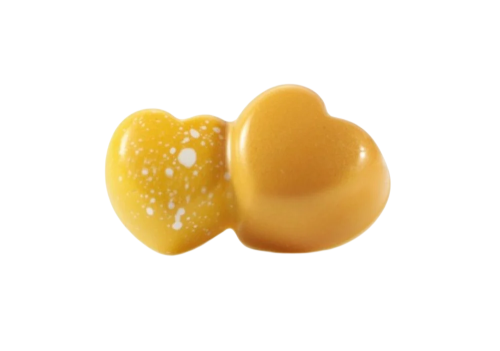 قالب POLYCARB شوكولاته MA4012