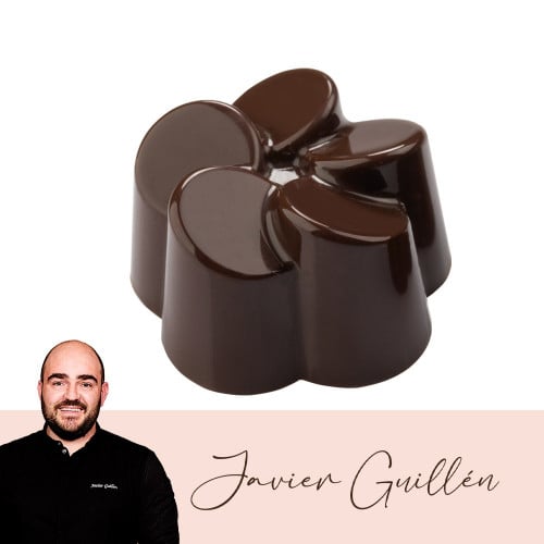 قالب POLYCARB شوكولاته MA1050