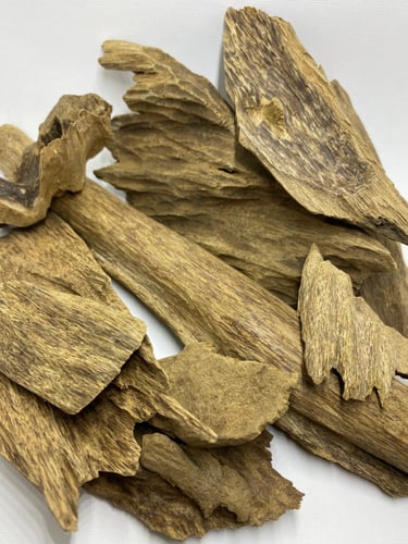 عود جابورا فاخر