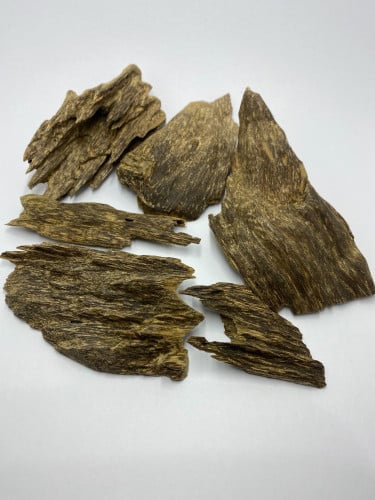 عود كلمنتان تراكان دبل تشار